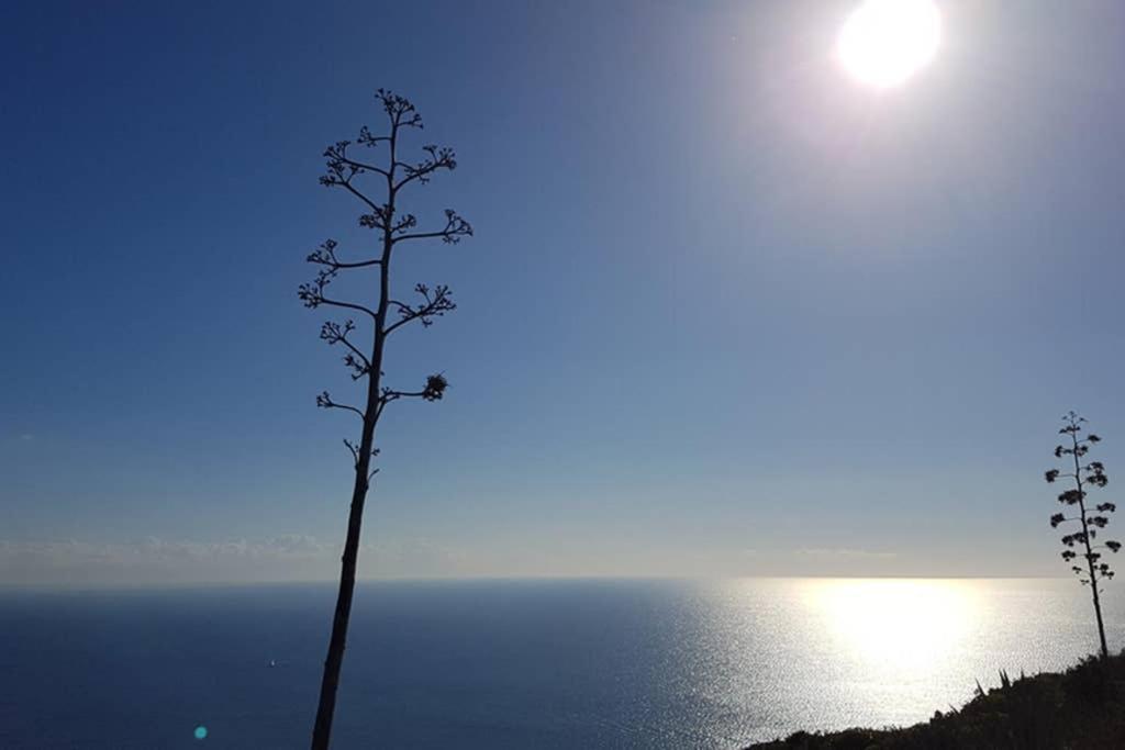Suite Milu Cagliari Exteriör bild