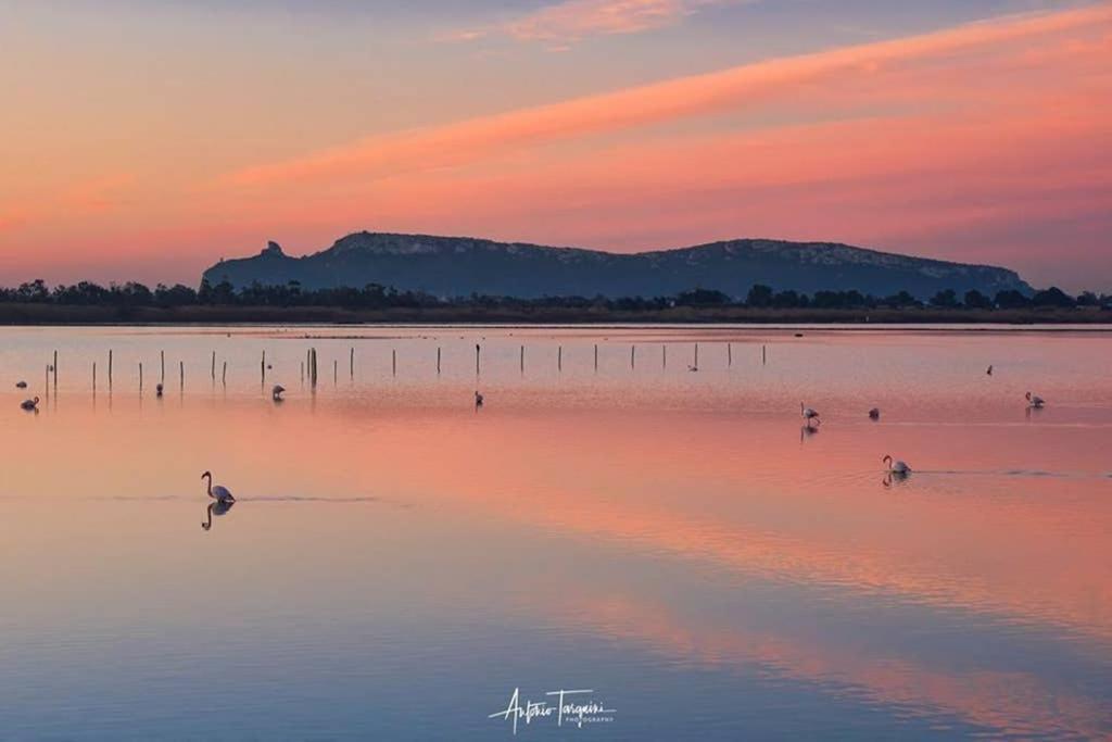 Suite Milu Cagliari Exteriör bild